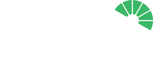 energy solutions and supplies logo usa